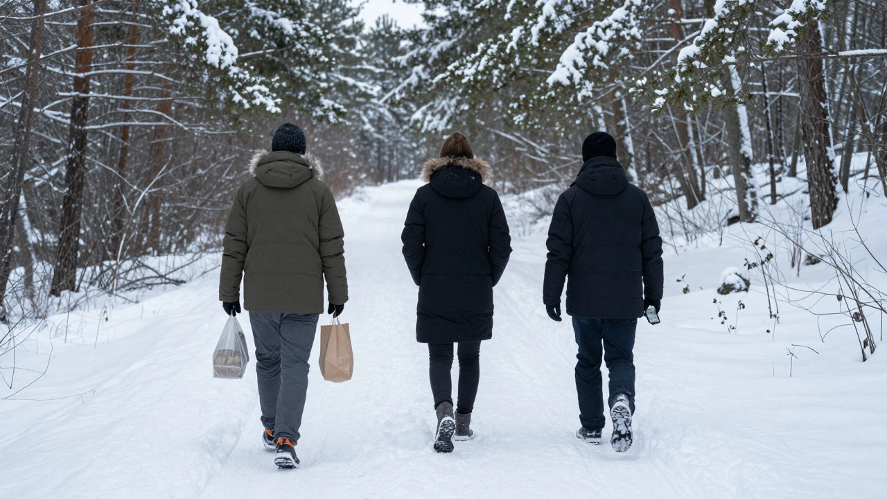 Трое людей идут по зимней тропе в лесу, с минимальным снаряжением, следы в снегу ведут вдаль.